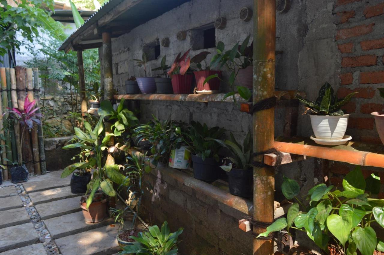 Labuan Bajo Mahoni Guesthouse Eksteriør billede